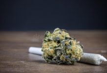 High-Quality Cannabis Store In Canada, Goldbuds