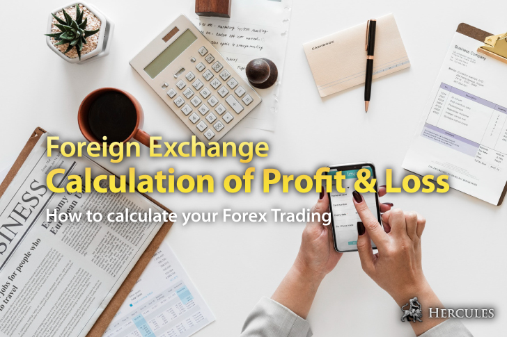 forex calculator profit