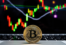 Beginner’s Guide to Crypto Trading in Australia Cointree