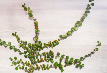 Tips to Buy High Quality Decorative Smilax Vine for Sale Decorative Smilax Vine