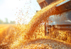 Why Every Modern Farm Needs a Reliable Grain Auger Grain Auger