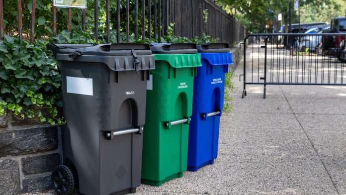 Signs You Need Emergency Trash Removal