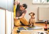 Useful Equipment Solutions for Home Improvement Projects Home